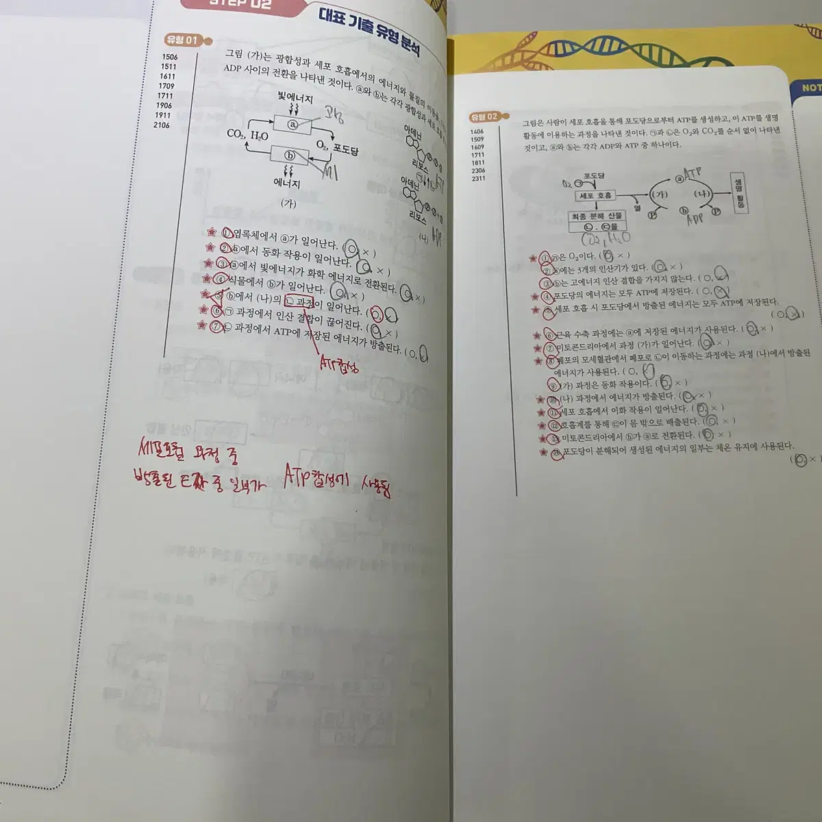 2026 생명과학 김태영 ACE 개념완성