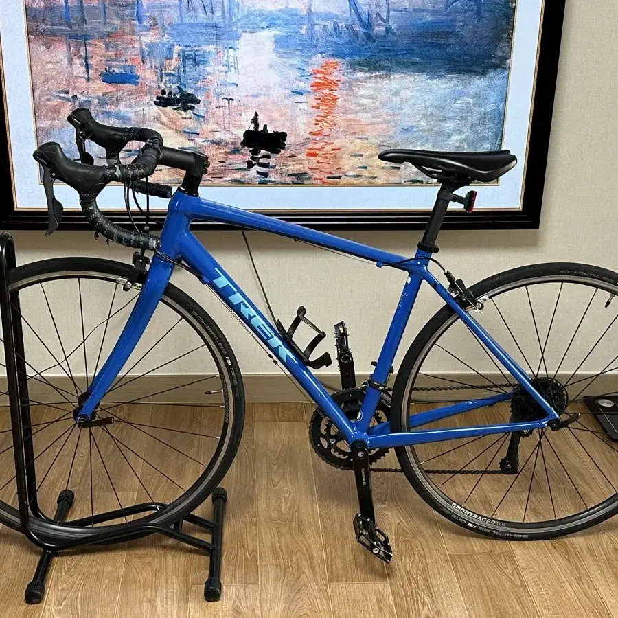 TREK 도마닉 al2