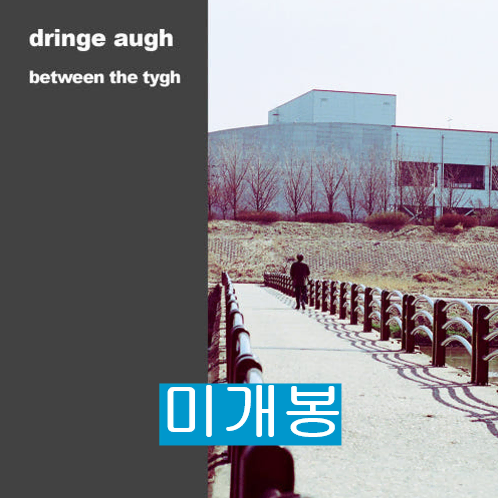 드린지오 - 1집 / Between The Tygh (미개봉, CD)