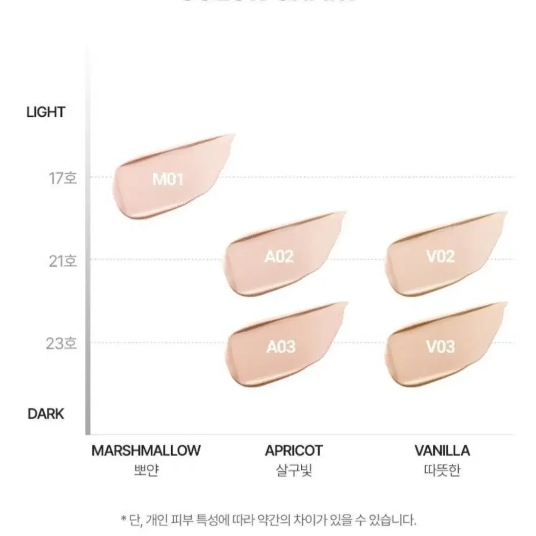 VDL 커버스테인 퍼펙팅 쿠션 리필 V02 리필 +퍼프하나 더