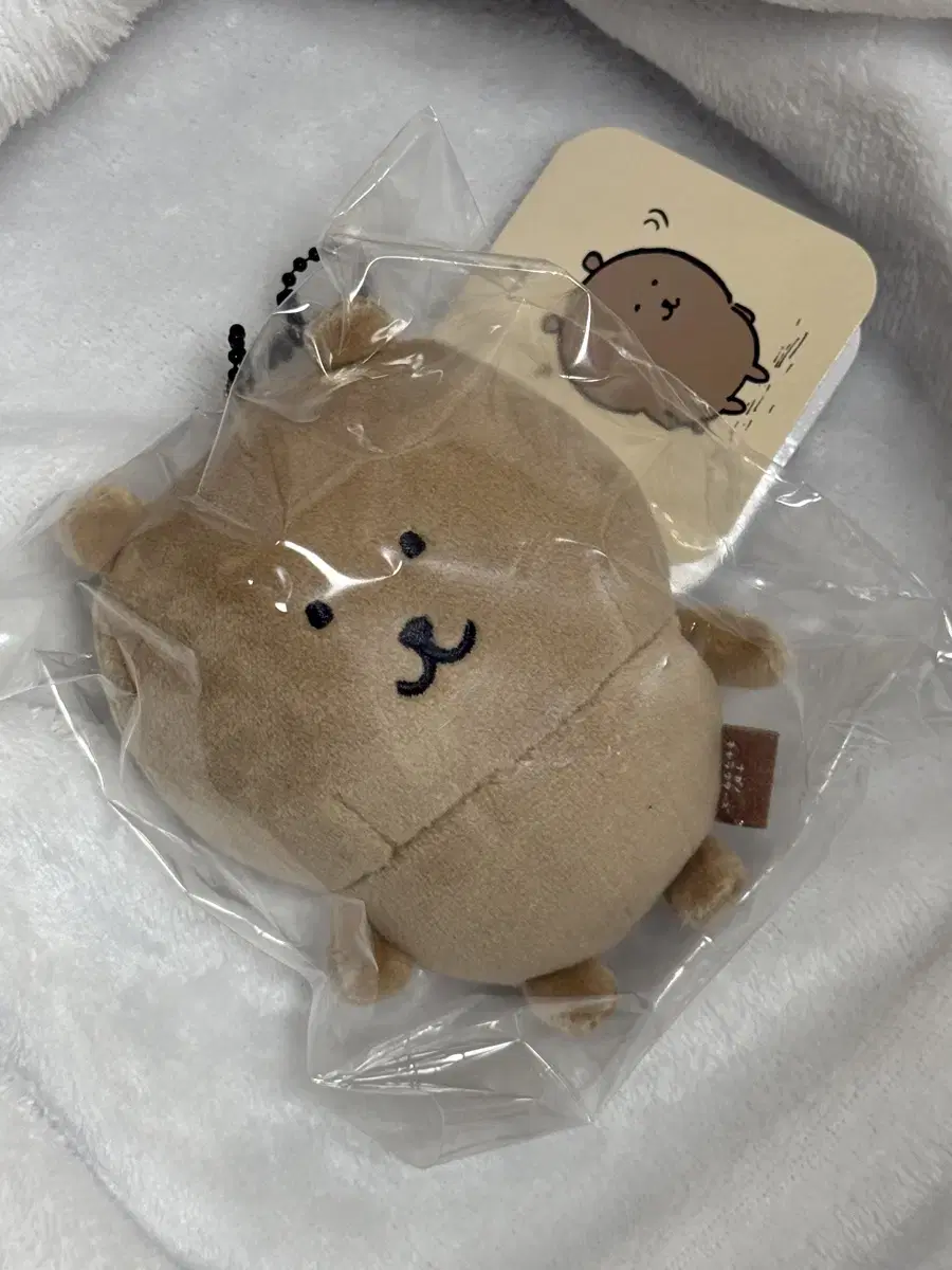 나가노 농담곰 태닝곰