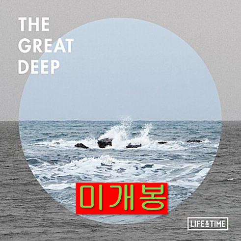 라이프앤타임 - The Great Deep (미개봉, CD)