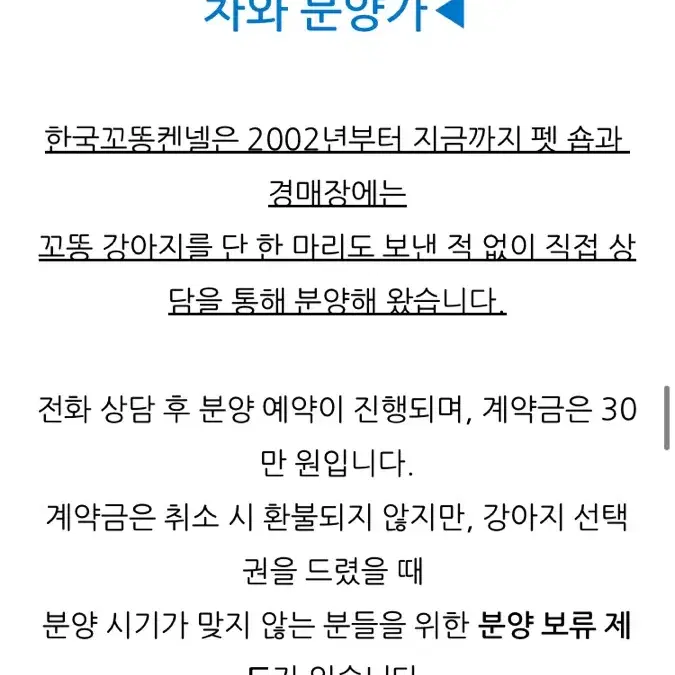 한국꼬똥켄넬 양도 하동