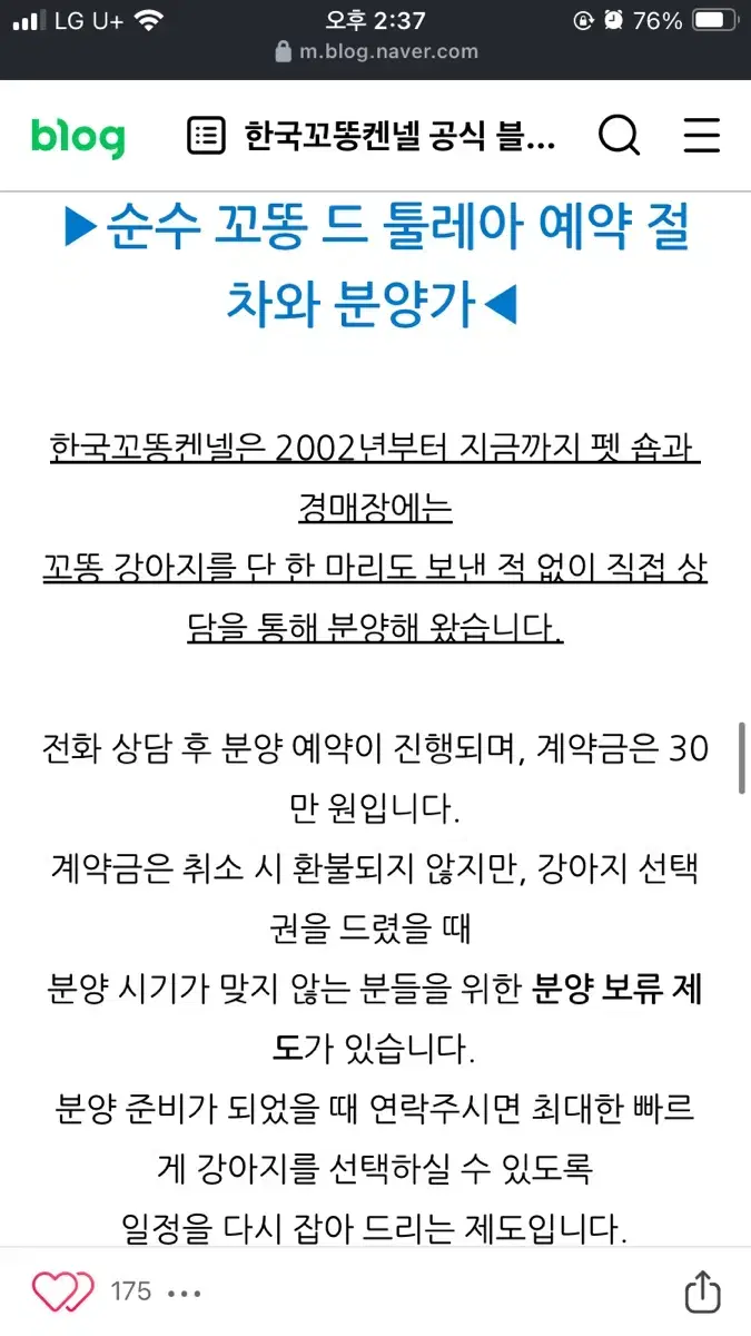 한국꼬똥켄넬 양도 하동