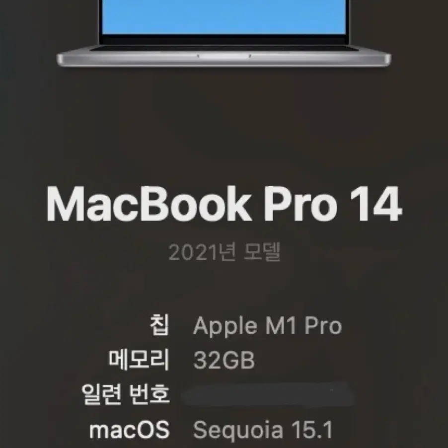 맥북프로 M1 Pro 14인치 32GB/512GB 영문자판