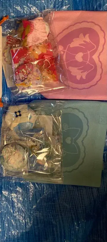 개 후루 프리큐어 예쁜 강아지 가방 예쁜 고양이 가방