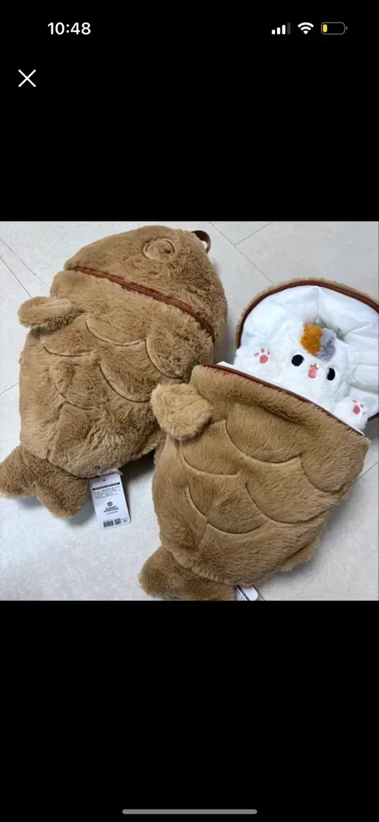 Cat-shaped bun-eobang doll, backpack New product