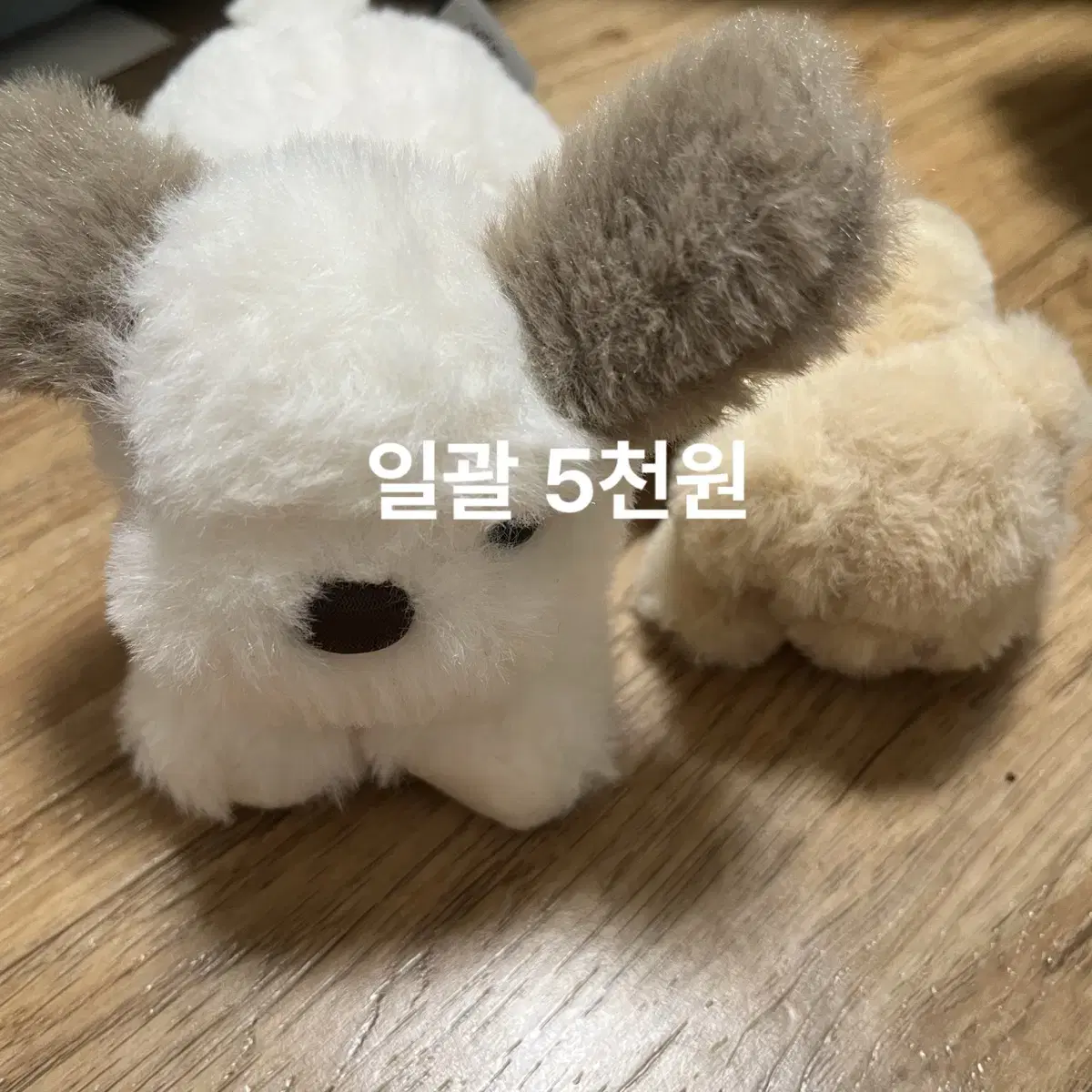 작은 인형