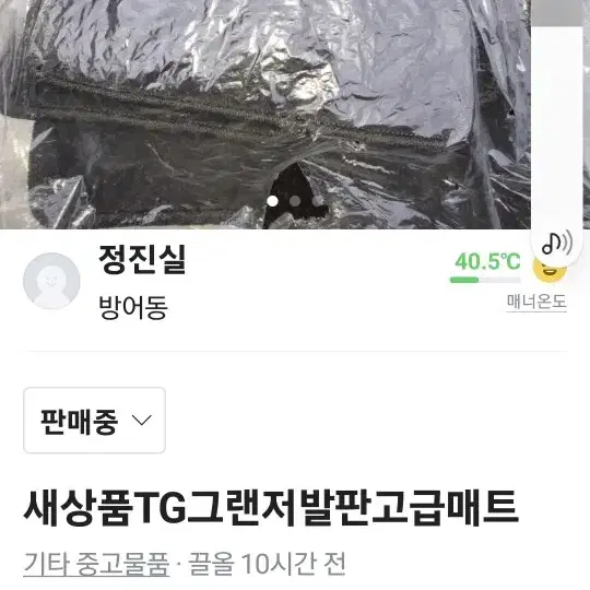 새제품 TG그랜져발판