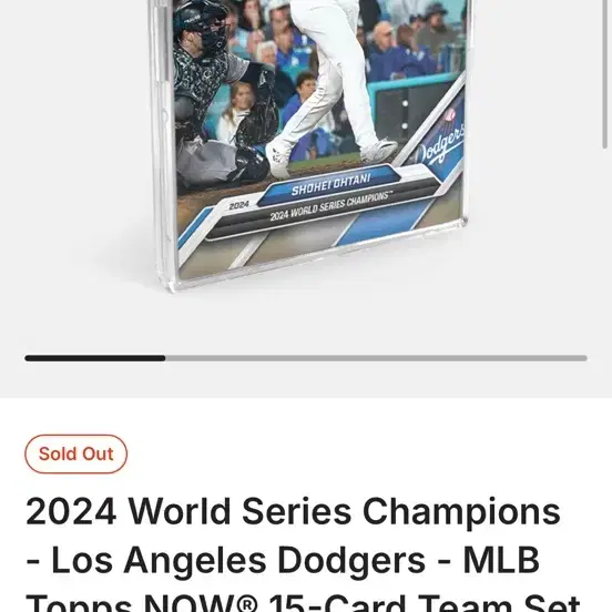 2024 World Series Champions - Los Angele