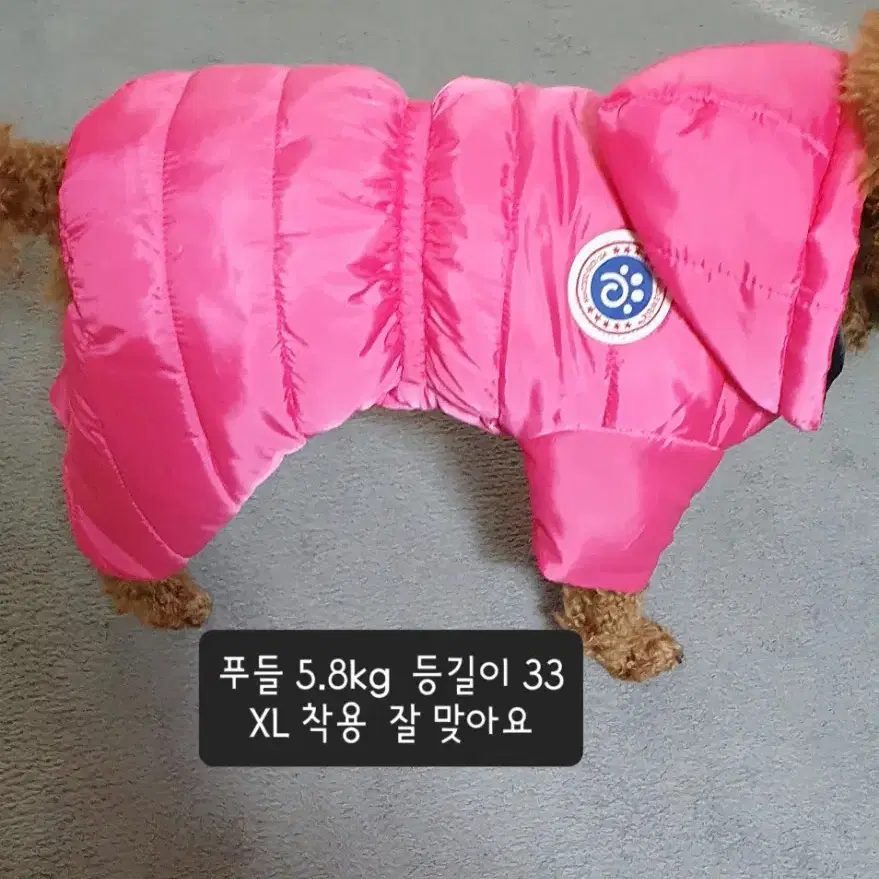 *새상품* M - 3XL (2- 8.5kg) 강아지옷 패딩