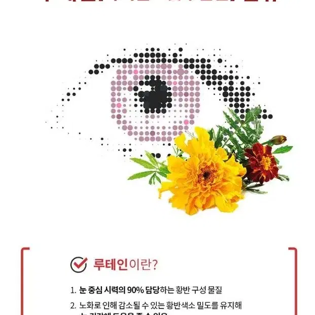 엔젯오리진 아이케어 루테인 구미 3000 3000mg x 90구미 1개