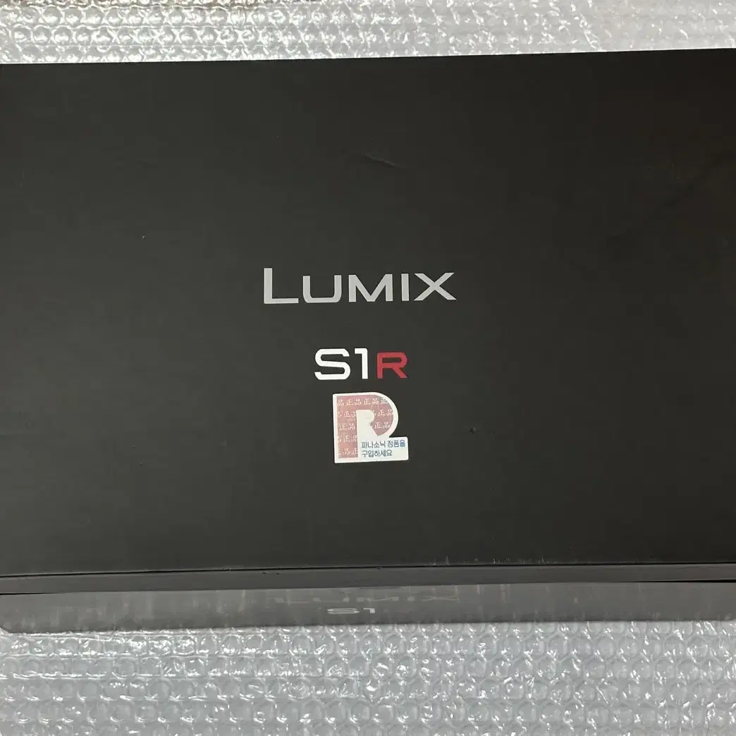 파나소닉 루믹스 s1r lumix 카메라