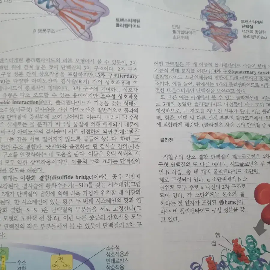 캠벨 생명과학 12판 한글