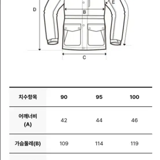 [미착용] 디스커버리 여성 베르겐 고어 윈드스토퍼 구스다운 숏패딩(100