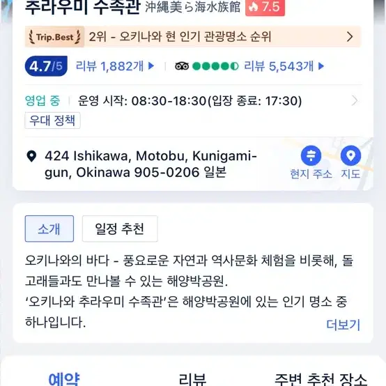 오키나와 추라우미 수족관