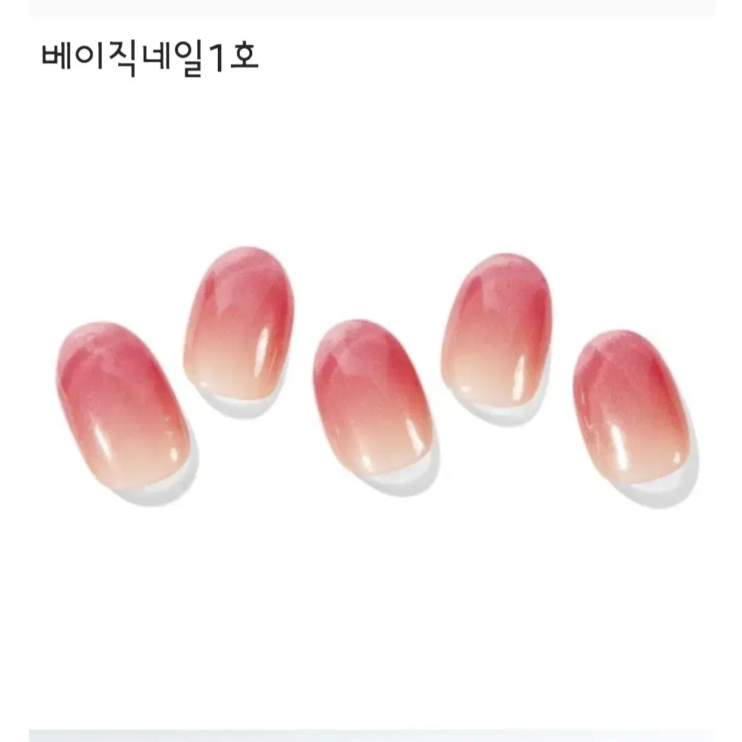 오호라 25 첫신상 트윙클벨 아이스퀸 페어리스노우 럭키판다 비기닝