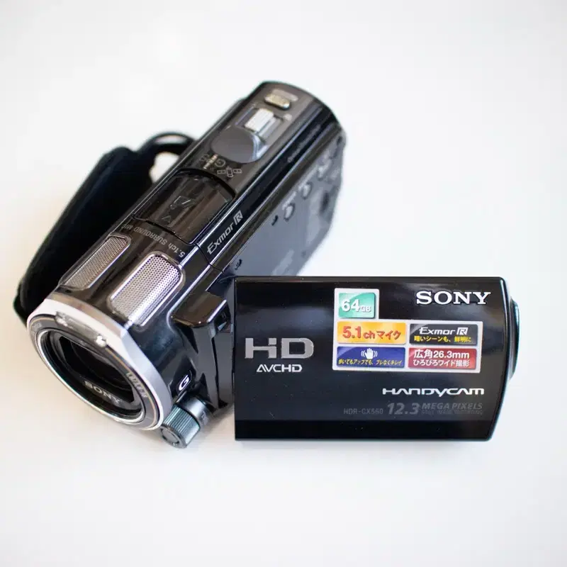 Sony HDR-CX560V