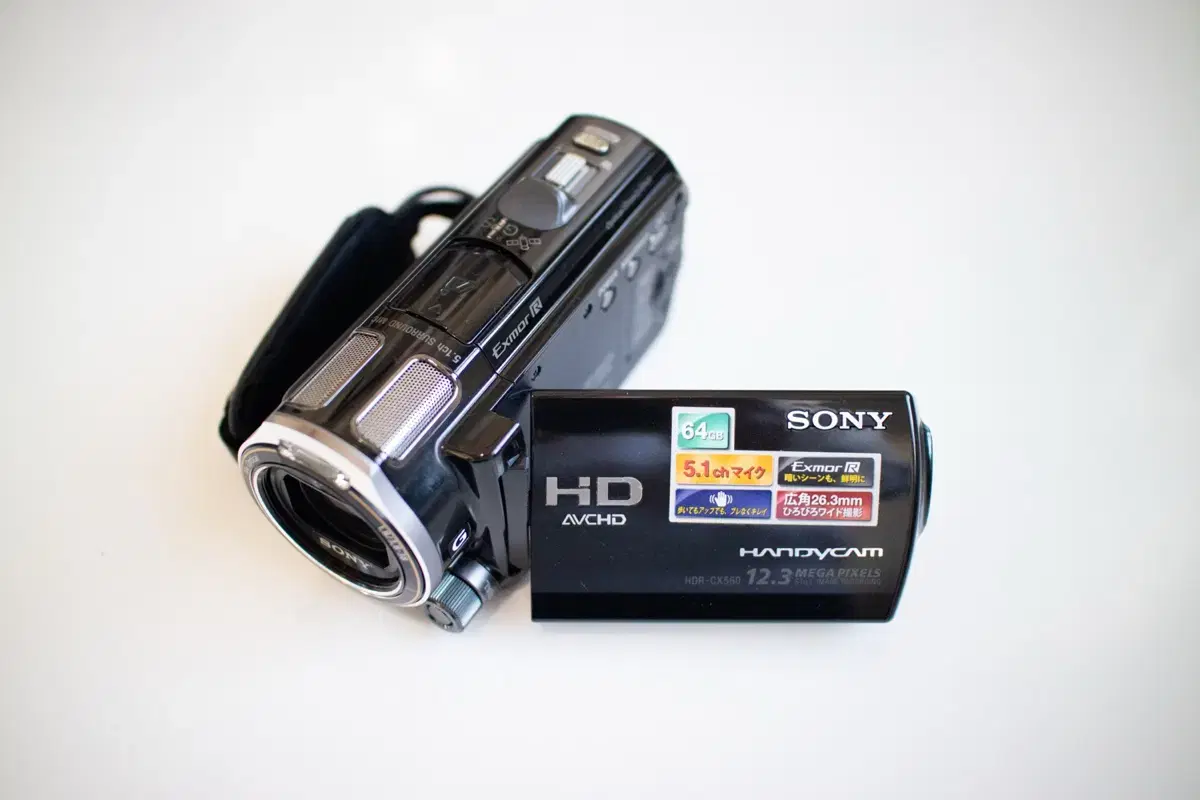 Sony HDR-CX560V