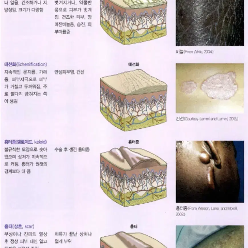 ㅎㅈ님 리더십보고서