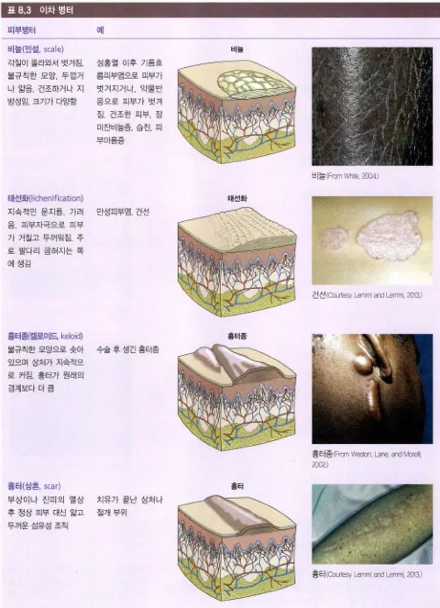 ㅎㅈ님 리더십보고서