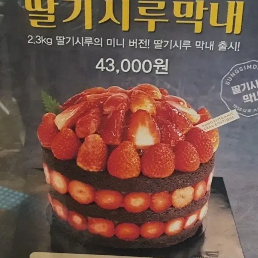 성심당 딸기시루막내 화물택배