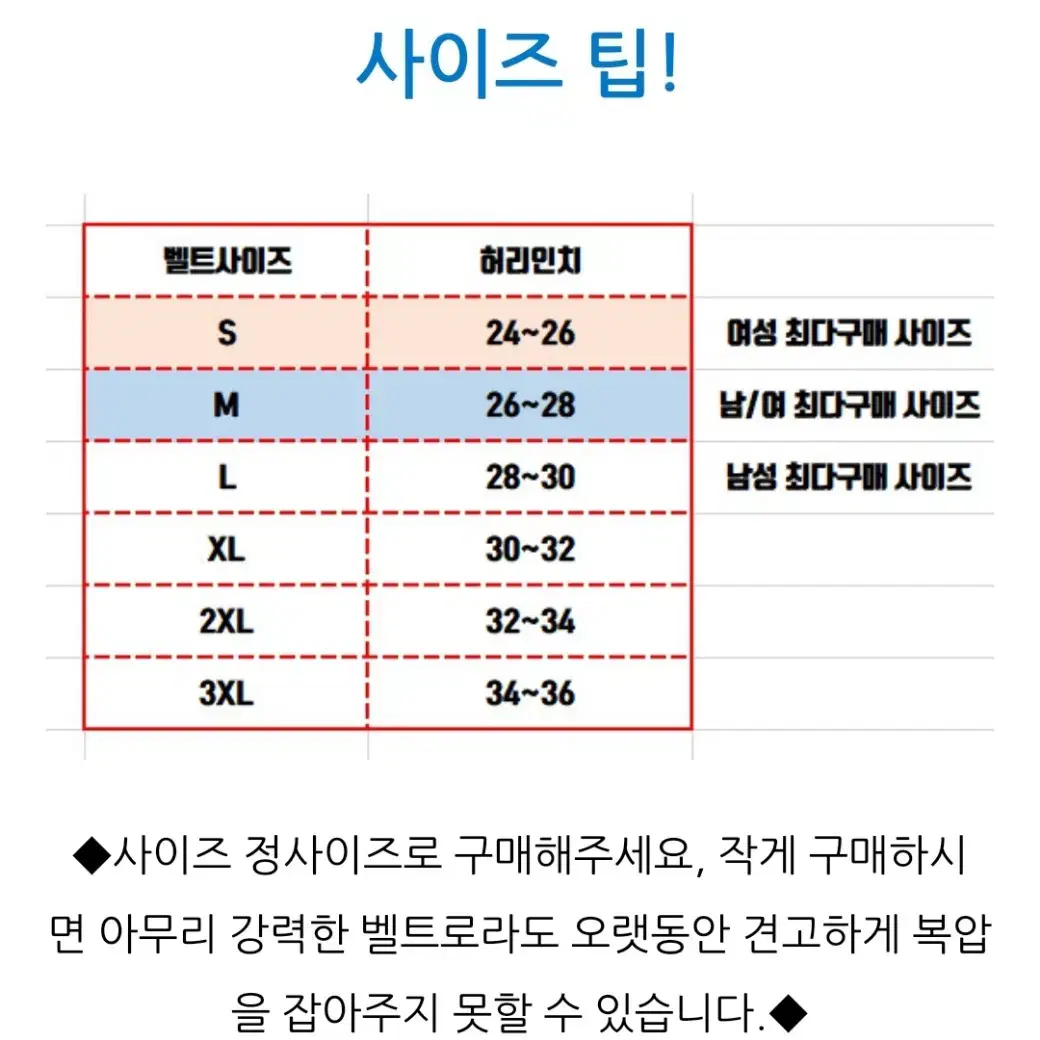 머슬앤뷰티 허리복대