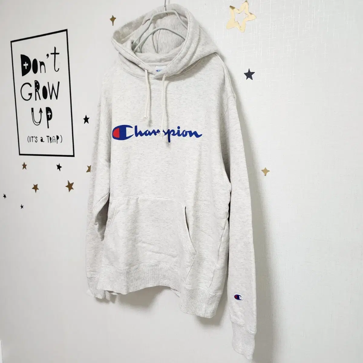 챔피온 후드티 남성 Champion Hoodie MEN'S 사이즈XL