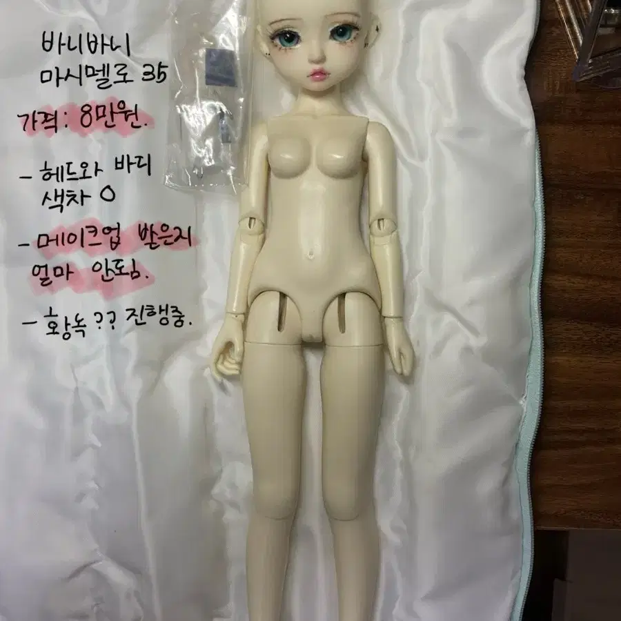 리나슈슈,치카비,바니바니,루츠돌 인형 판매