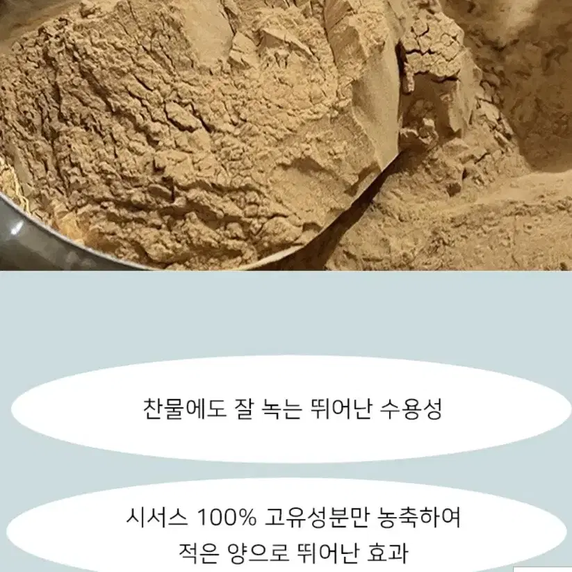 시서스가루 50배 고농축 추출물 250g 1팩