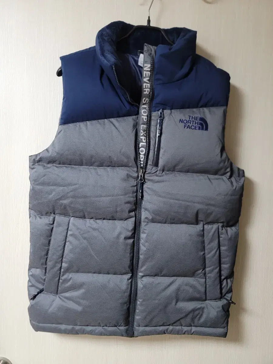 The North Face PyeongChang Olympics Duck Down Vest Down Zip-Up Padded Vest 95