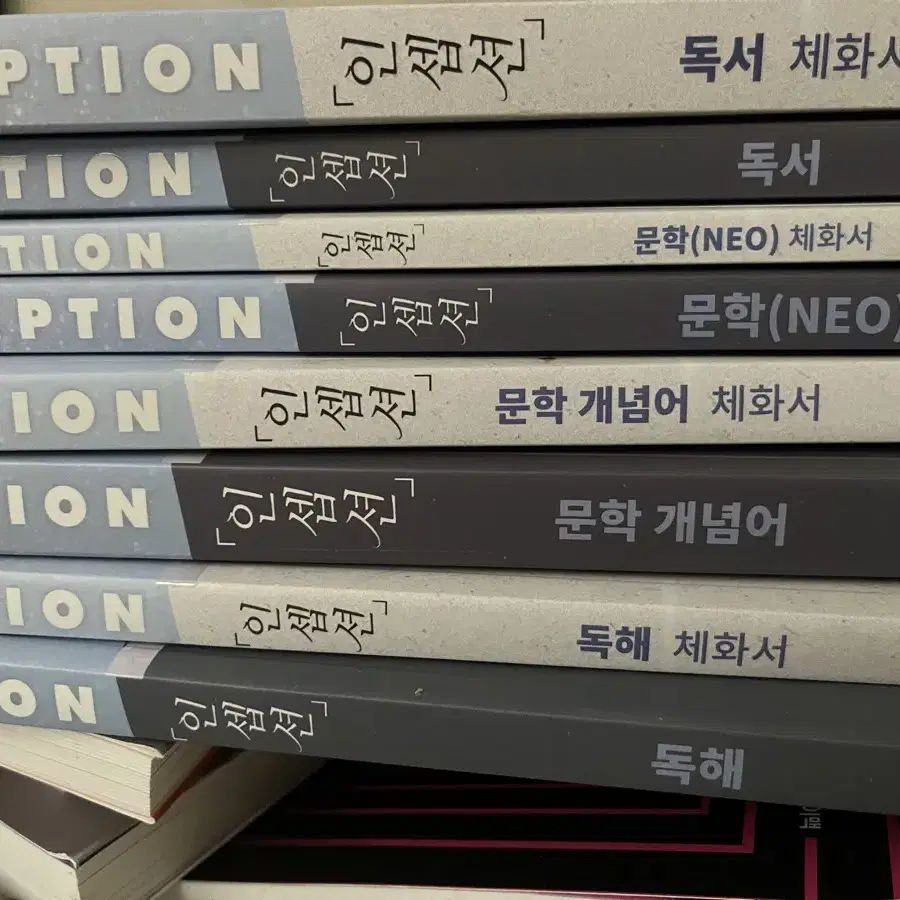 유대종 인셉션 독해 문학 개념어 문학neo 독서 +채화서 일괄