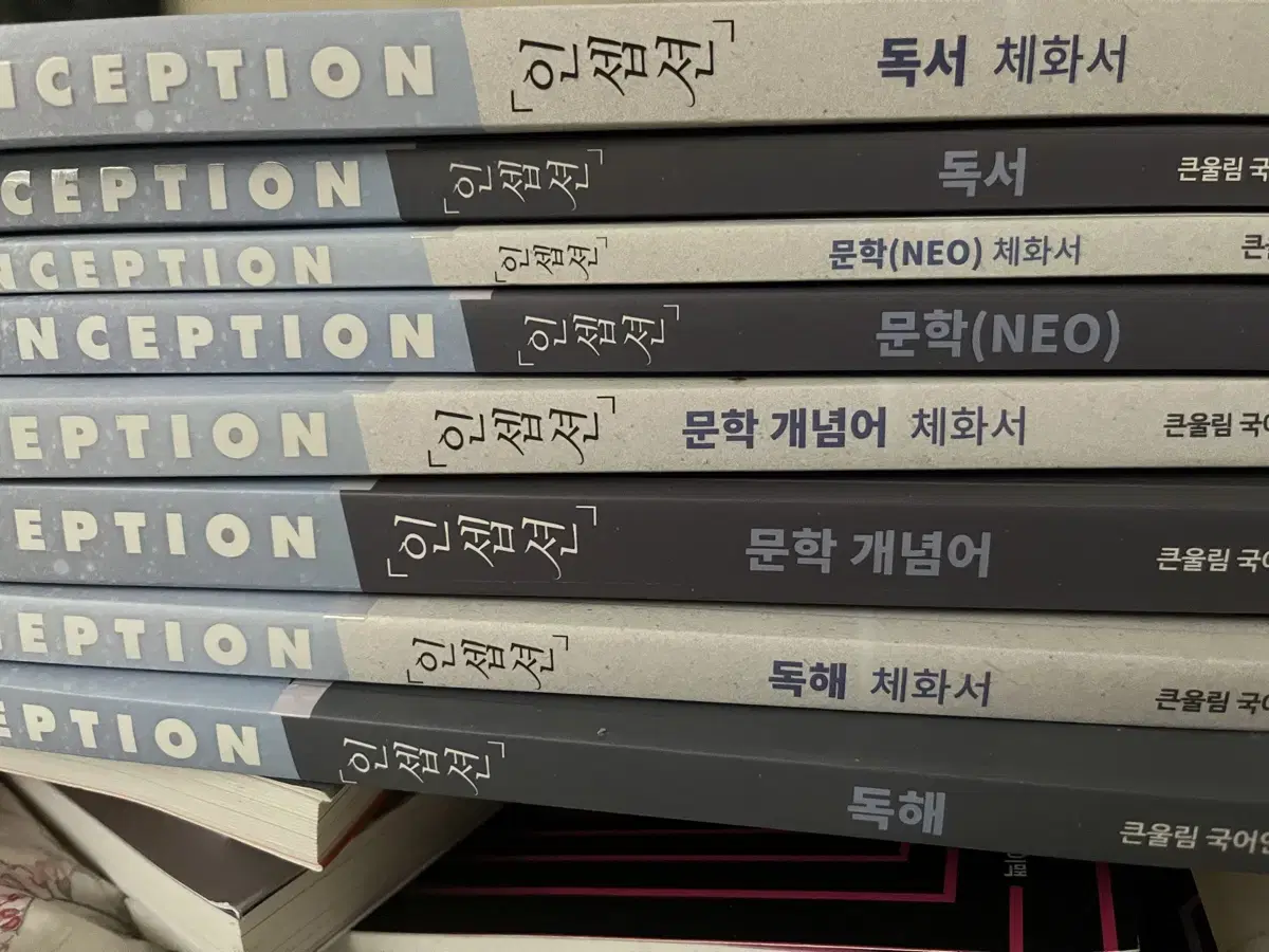 유대종 인셉션 독해 문학 개념어 문학neo 독서 +채화서 일괄