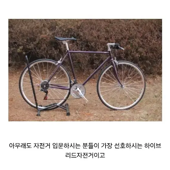 벨로라인 클래식 로드 자전거  21단 하이브리드 클라우드 스포츠레져