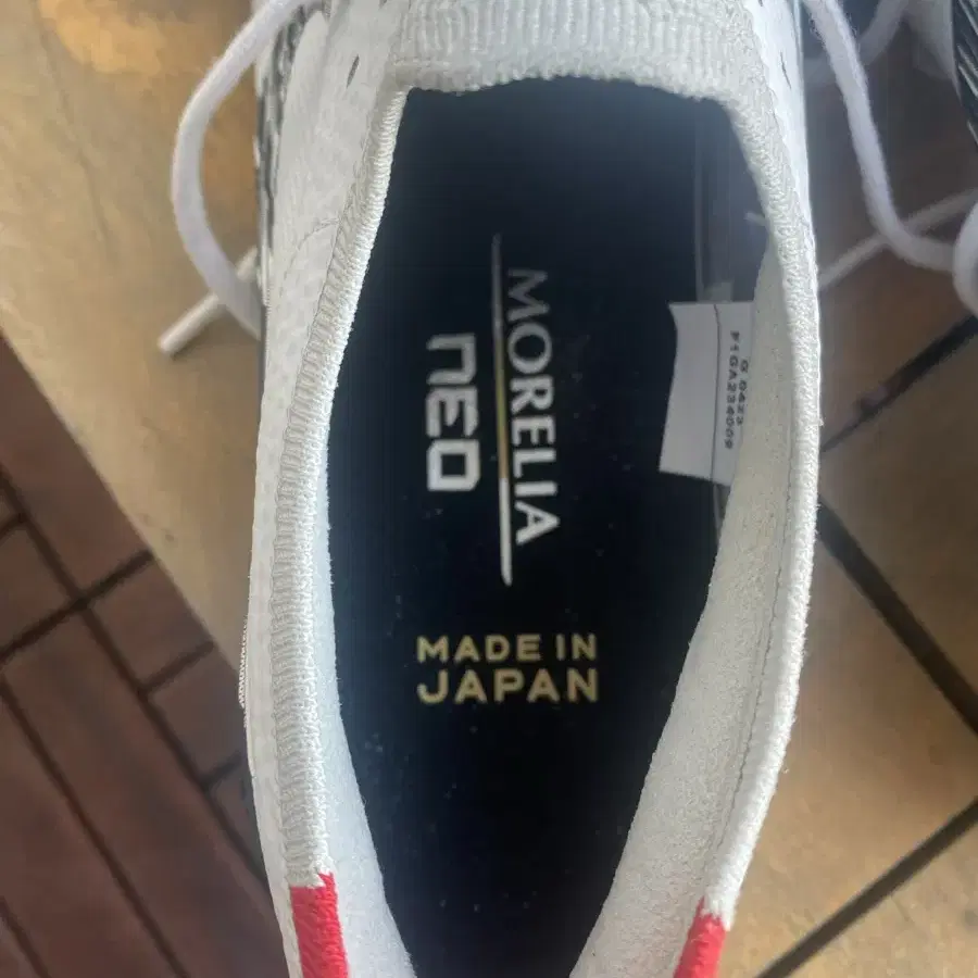 MORELIA NEO IV B JAPAN