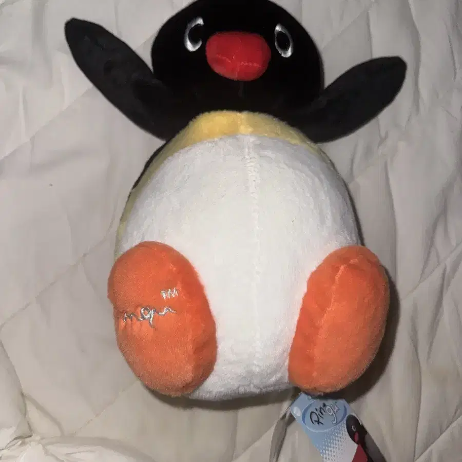 핑구 pingu 인형 새거