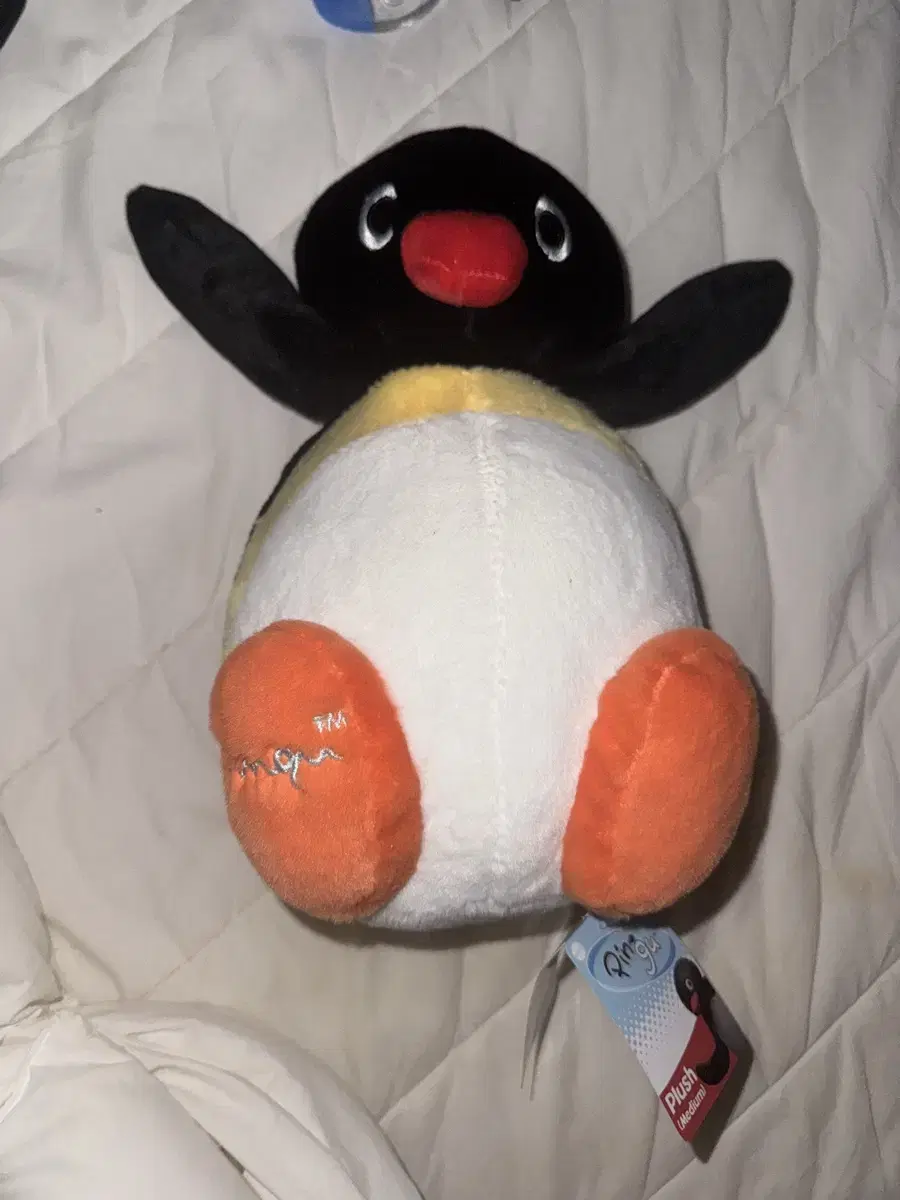 핑구 pingu 인형 새거