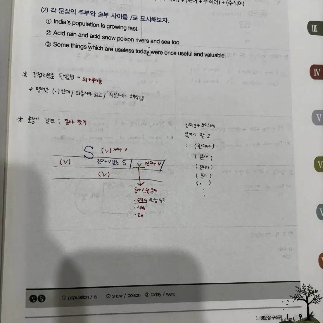 EBS 강의 로즈리 그래머 홀릭