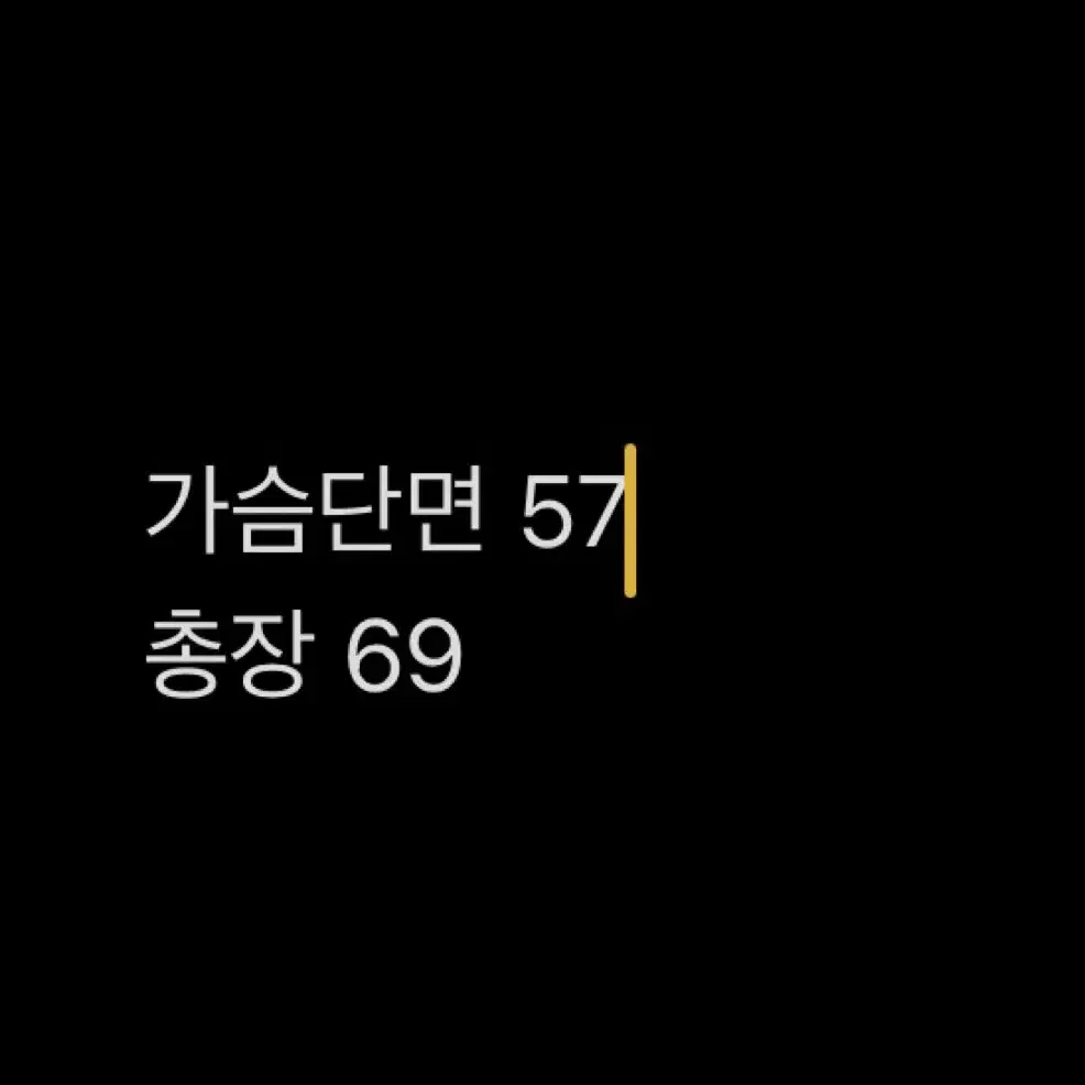 루이까스텔 숏패딩 105