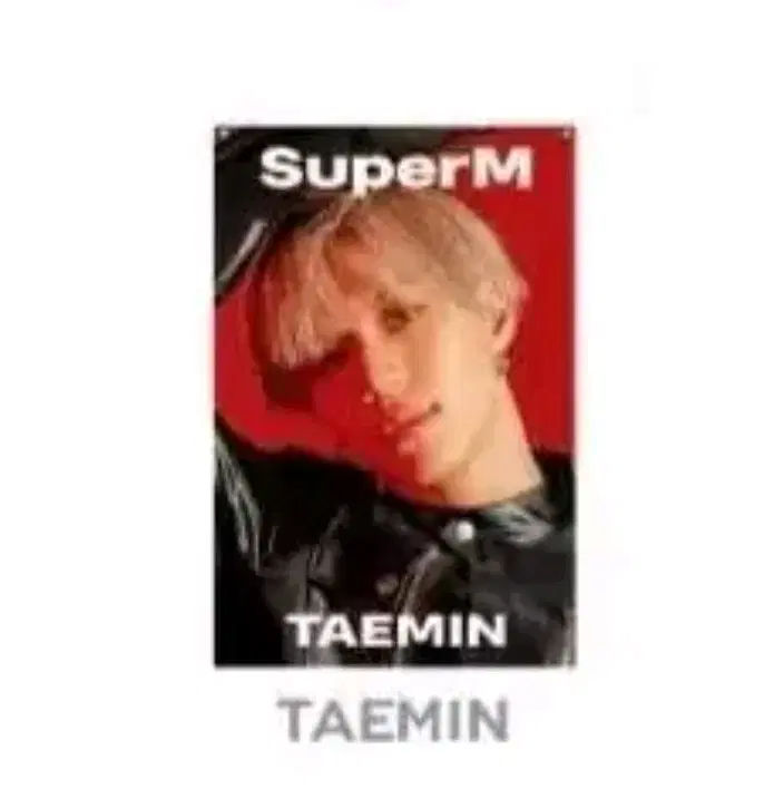 슈퍼엠 태민 패브릭 포스터