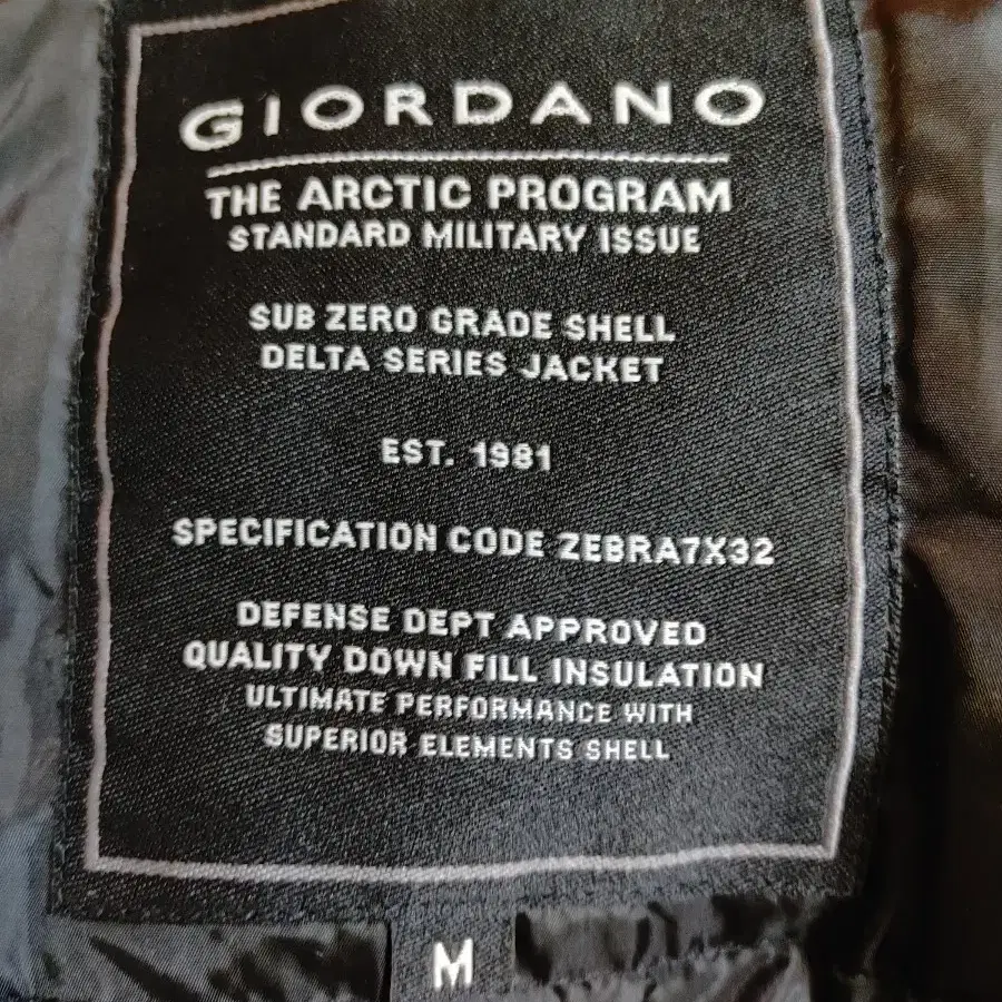 GIORDANO(95)