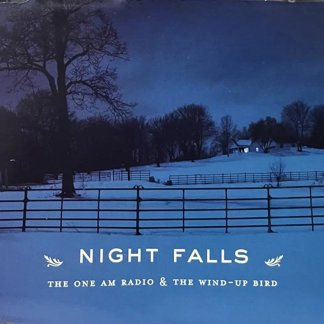 (CD) The One AM Radio Night Falls