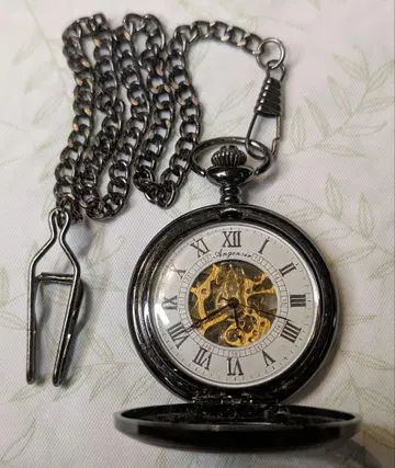 수동 와인딩 스켈레톤 기계식 회중시계 체인 포함