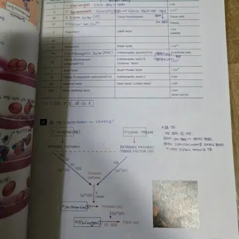 인체의 구조와 기능 workbook