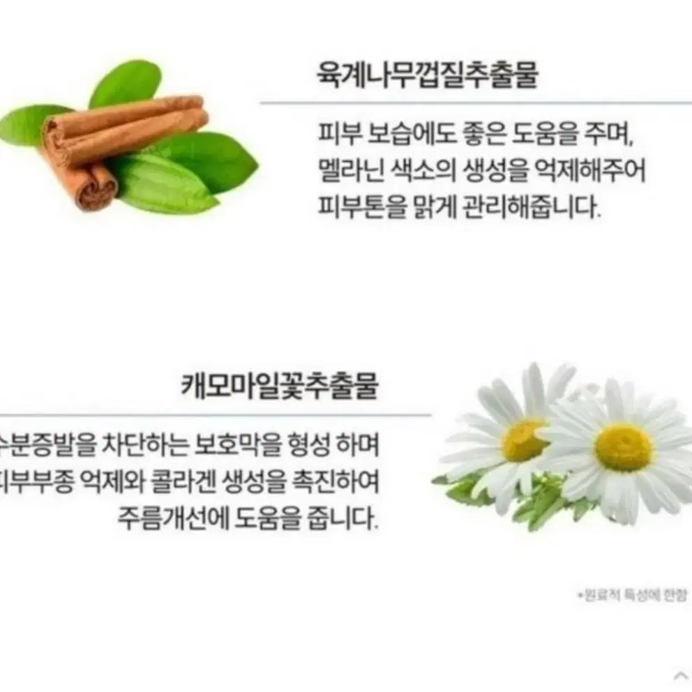 비건 여성청결제