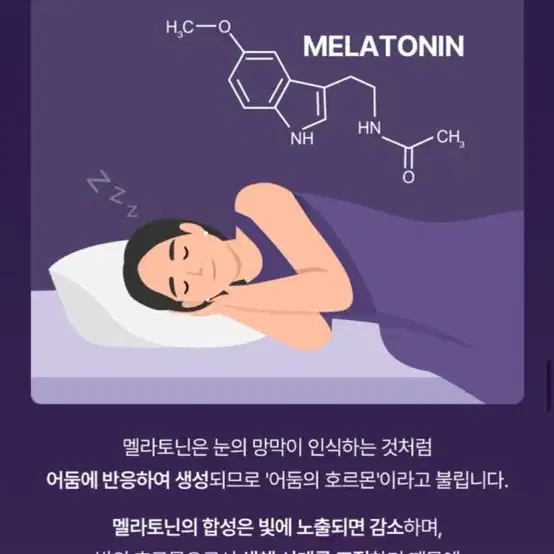 안녕비책 수면유도 식물성 멜라토닌 수면영양제 새상품