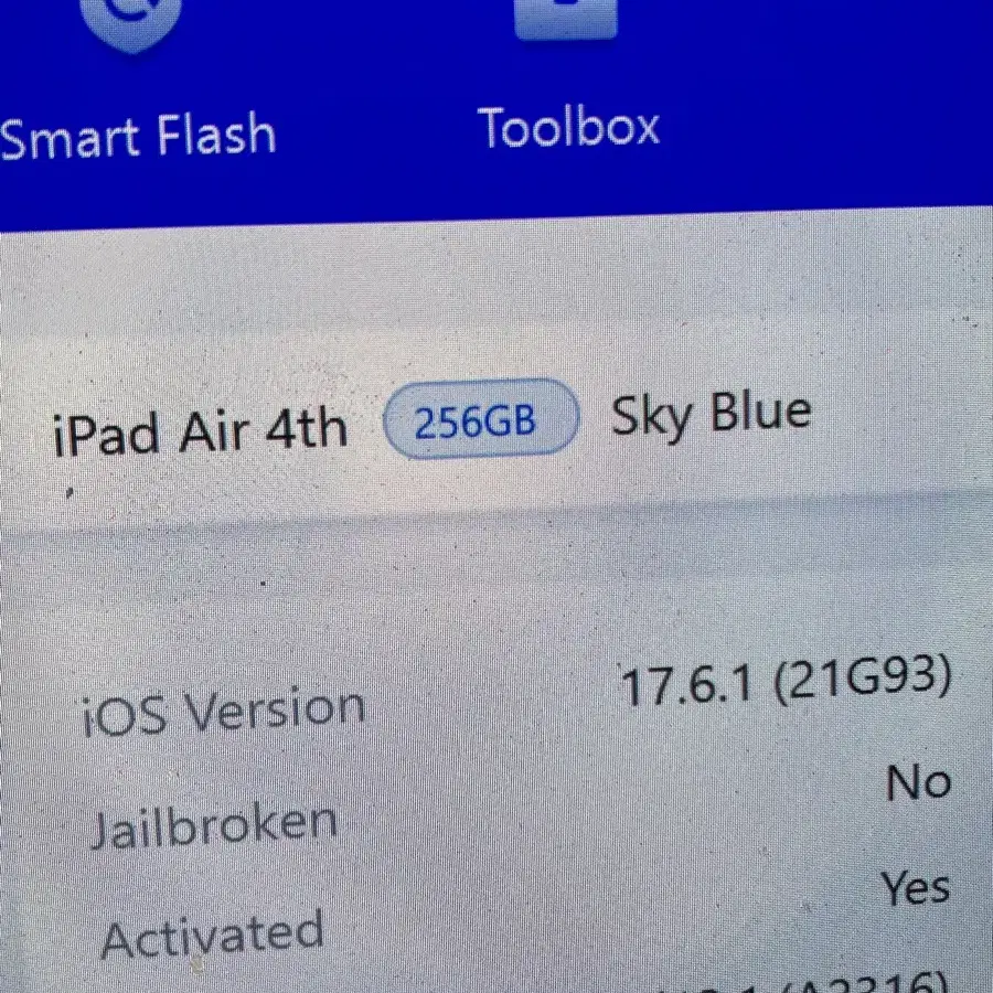 아이패드 에어4 256기가 스카이블루