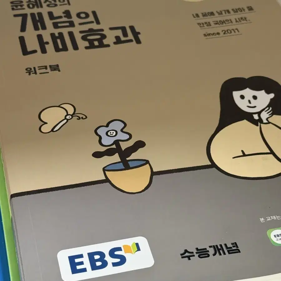 2025 수능 대비 윤혜정 개념의 나비효과