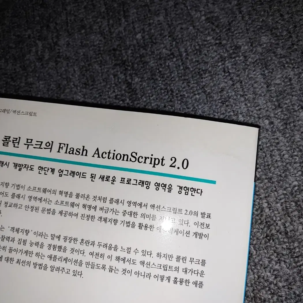 콜린 무크의 Flash ActionScript 2.0 웹디자인 도서