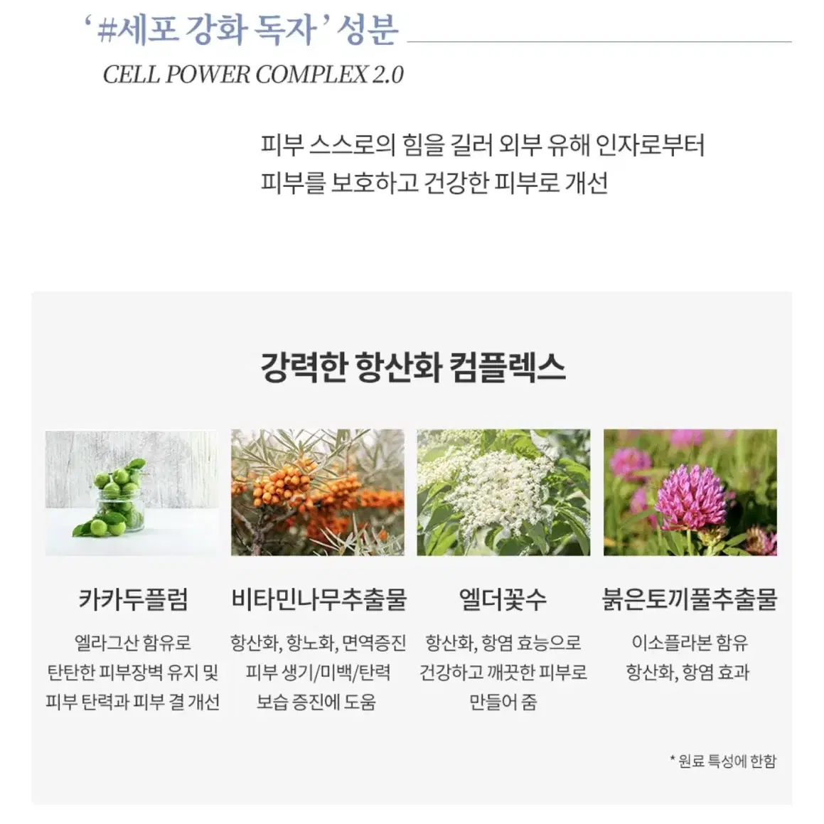 리엔케이 인텐스 브라이트닝 크림 55ml 수분크림